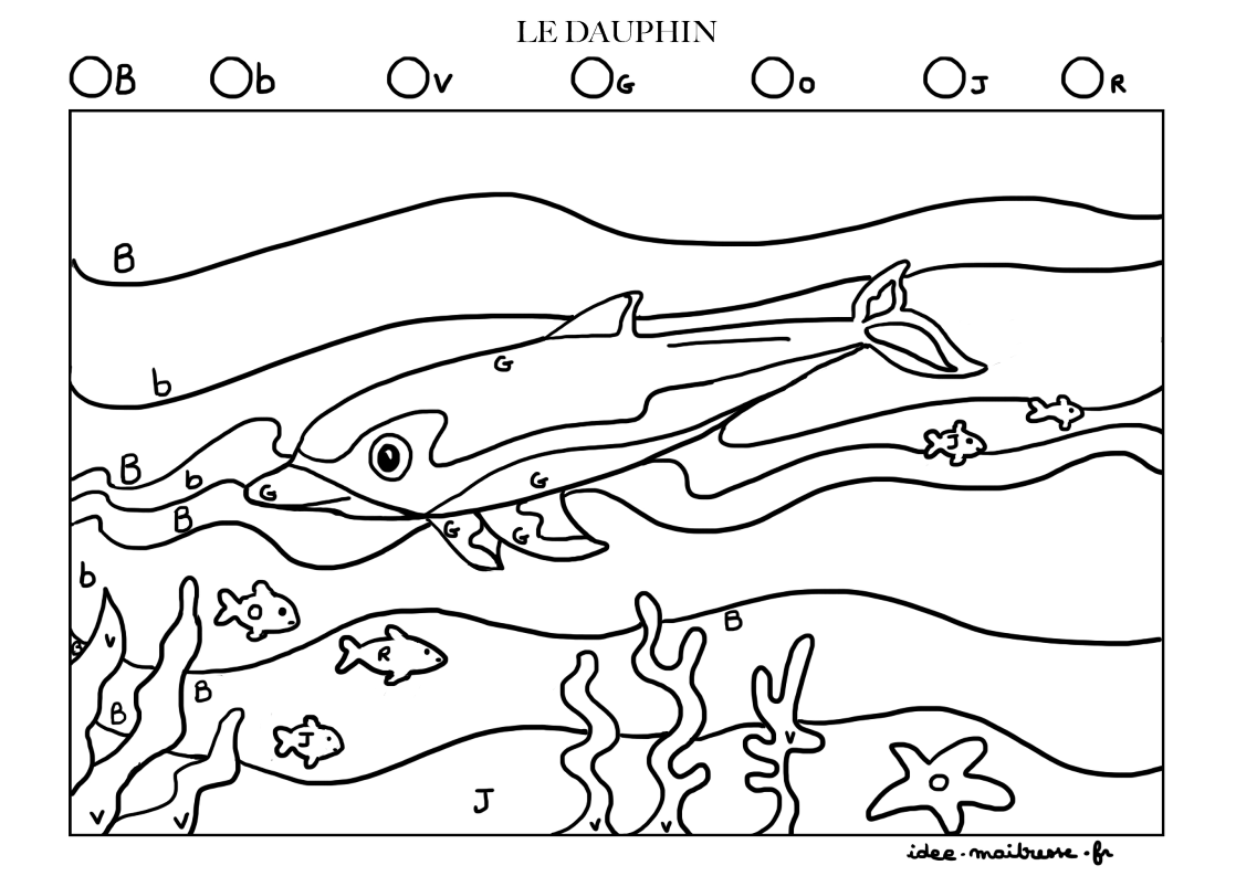 Coloriage codé : le dauphin - Idée Maîtresse, éditions équitables de ressources pédagogiques