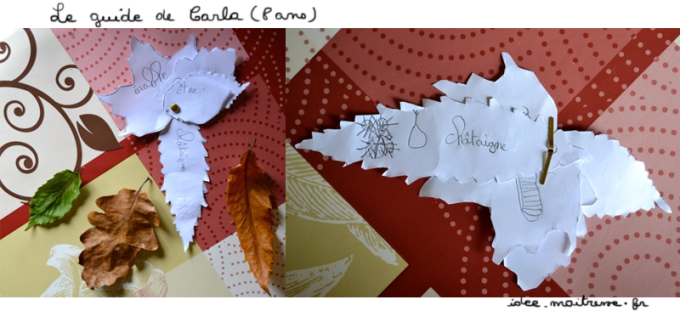 Photo du guide de reconnaissance des feuilles d'arbre fabriqué par Carla (8 ans)